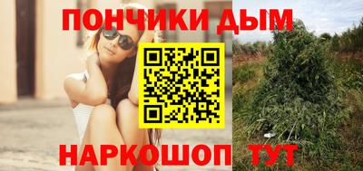 PSILOCYBIN Заволжье