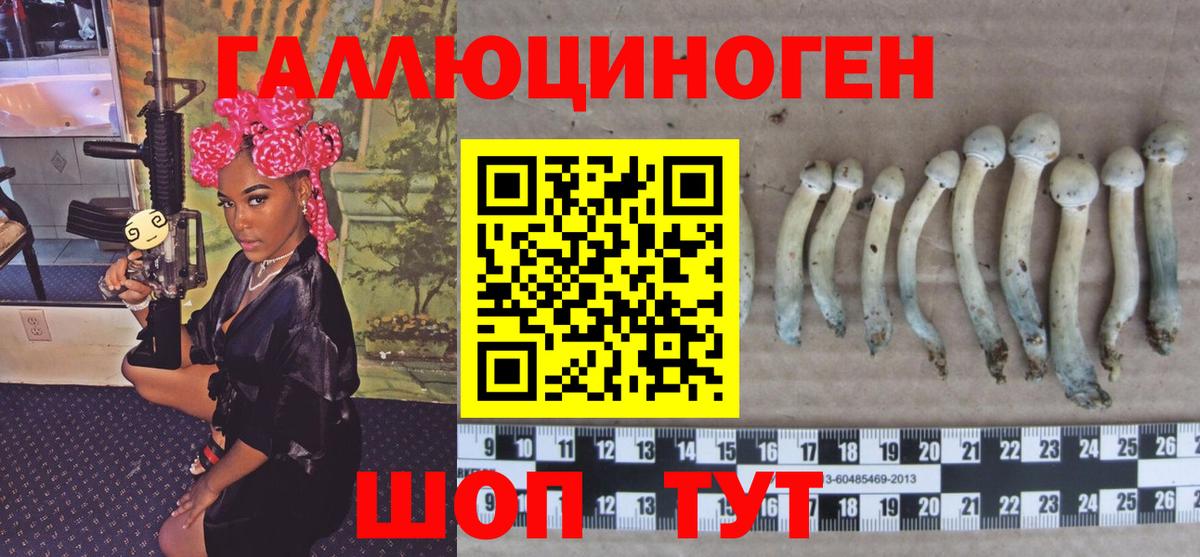 Псилоцибиновые грибы мицелий Троицк