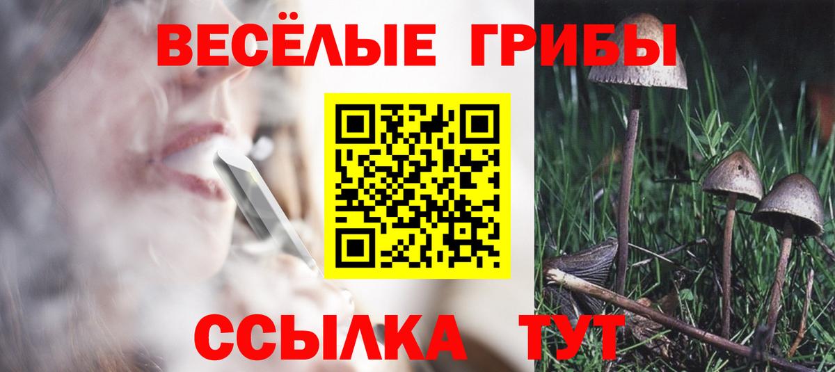 Троицк  сколько стоит  Вход с VPN  Галлюциногенные грибы MAGIC MUSHROOMS 